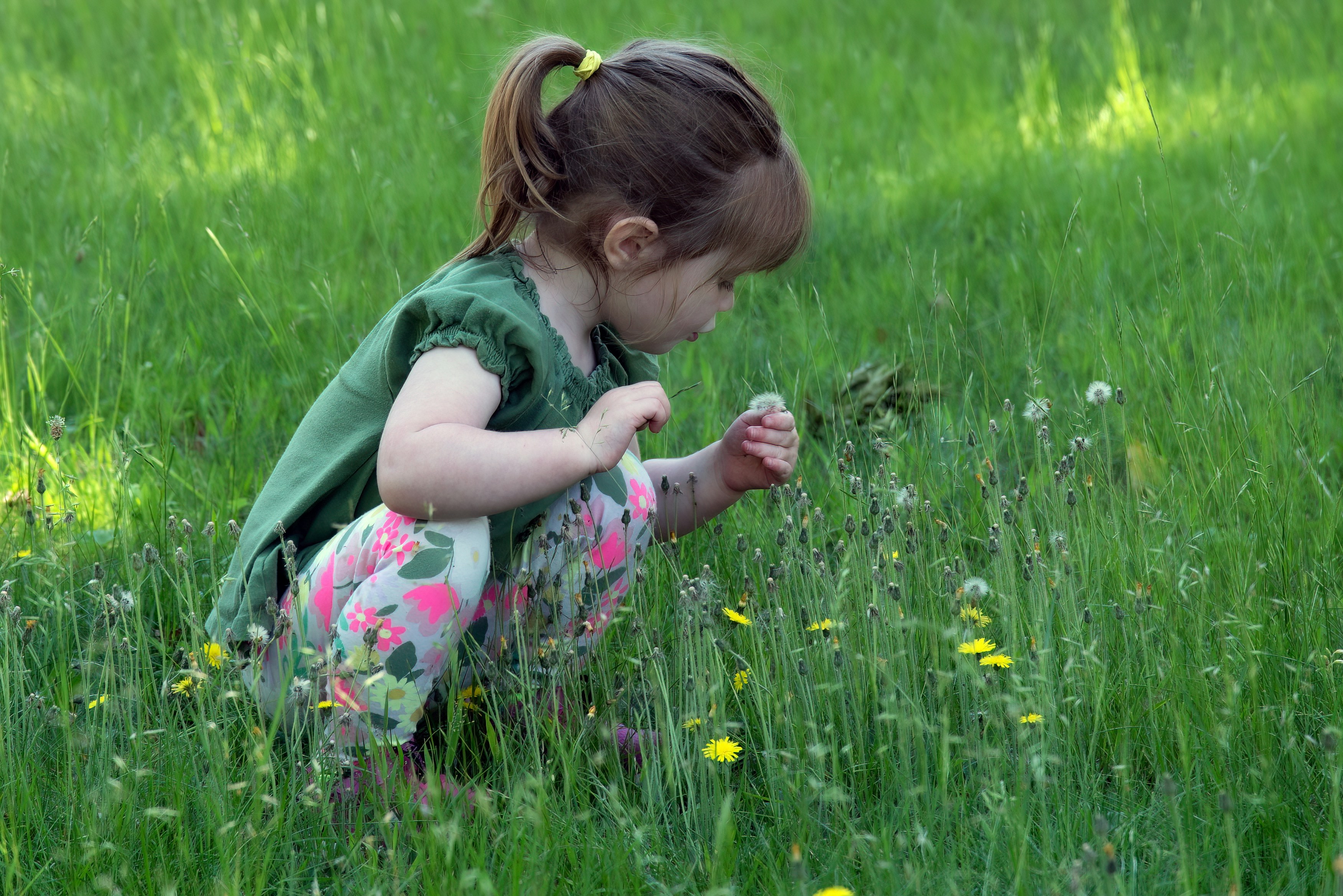 Child doing a Montessori science activity